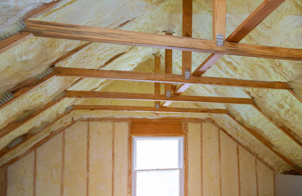 Best Eco-Friendly Insulation in Massanetta Springs, VA