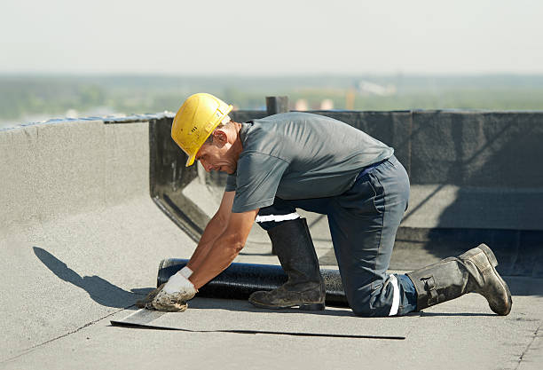Best Specialized Insulation Services in Massanetta Springs, VA